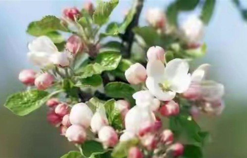 人老了，只剩一个人的时候，请记住这三不，快看看吧