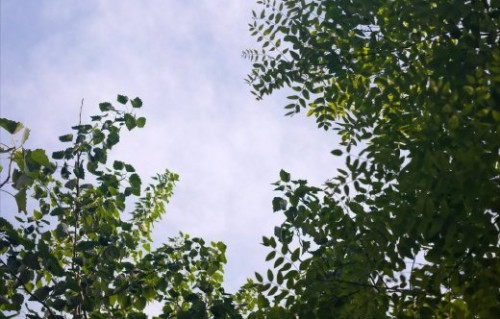 《爱情没有神话》中的暴雨分手等名场面是如何拍摄的？|唐嫣|林展翘|情感|镜头|暧昧