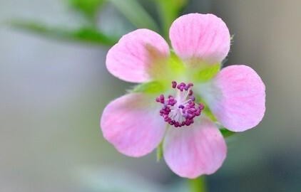 熬过半生风雨终看透：很多难过，原本就没有答案