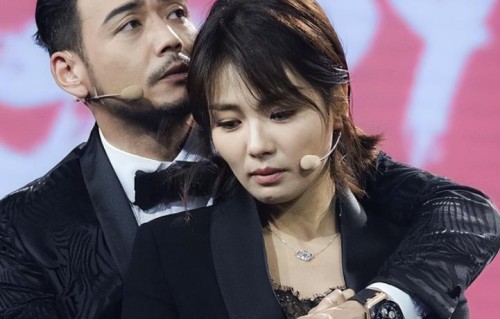 红毯上抱刘涛、综艺里骂哭儿子、片酬硬扛央视限薪令：杨烁的坠落，给所有“飘”了的人敲响一记警钟