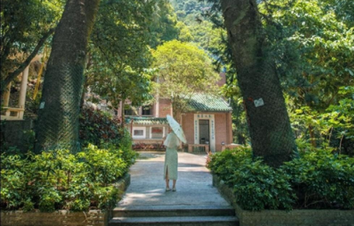 五十岁，不是谢幕，是换了一套更舒服的戏服