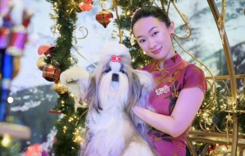 恭喜！小狗泰国拿奖，霍思燕开心到五官变形，杜江一脸宠溺的鼓掌