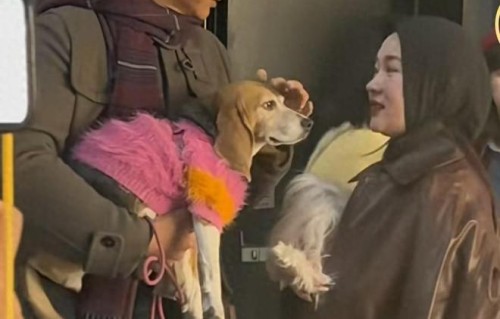 看到戴头巾的微胖的霍思燕抱着狗狗的样子，对，她活成了她自己