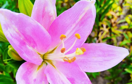 情人关系已落伍！2026年爆火的5种异性关系，第三种最让人上头