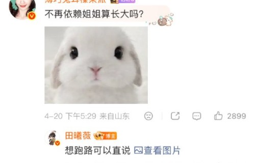 田曦薇 想跑路可以直说 幽默回应粉丝提问