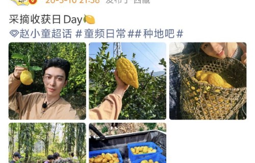 陈少熙直播考驾照翻车，口误笑翻全场