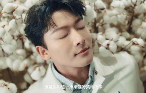 张晚意代言hazzys品牌新物料发布|品牌代言人