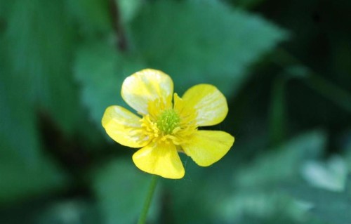 女人敢和有老婆的男人在一起，想要的，是这个东西