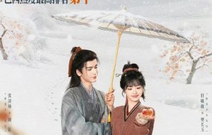 网友和业内人士是如何评价田曦薇关于‘让世界看到中国的东西’这一发言的？