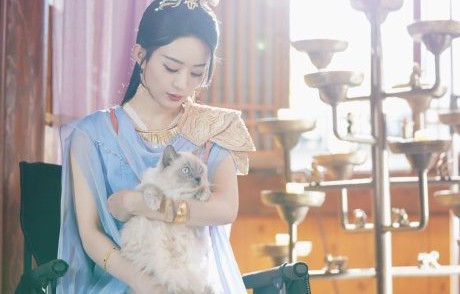 赵丽颖工作室发沈璃 王爷携喵问好|与凤行|碧苍王|搜索|流量剧|剧照