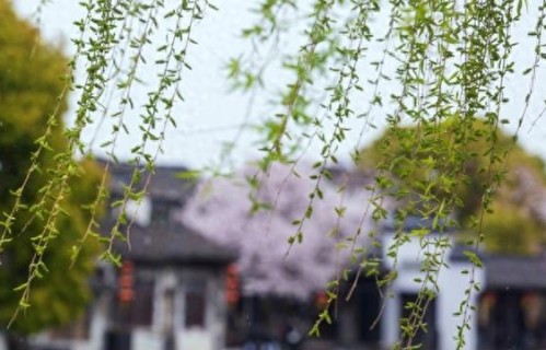 她编剧热播剧却从不提自己，背后家风令人动容|老同学|北京卫视|电视剧|女儿|蒋雪蓝