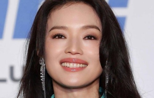 向太提到的娱乐圈“不装天团”里，除了李小冉还有哪些代表人物？