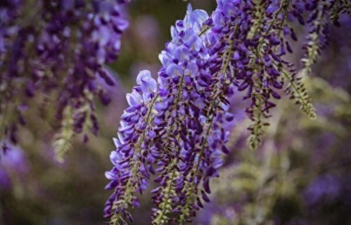 为什么你总收到周围人的恶意？原因：你只是站那里就让别人自卑了