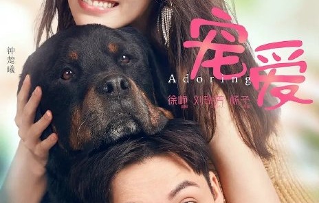 新剧《爱情慢慢》何时播出？|钟楚曦|陈伟霆|徐峥|徐峰|时髦的