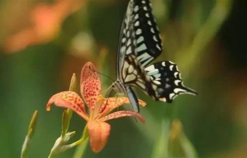 两性关系，女人在45岁以后，不怕你动手动脚，就怕你动这几样