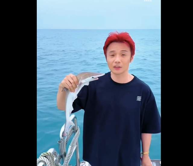  打开网易新闻 查看精彩图片 