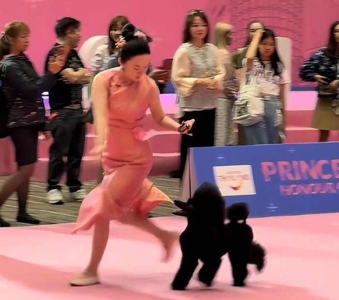  打开网易新闻 查看精彩图片 