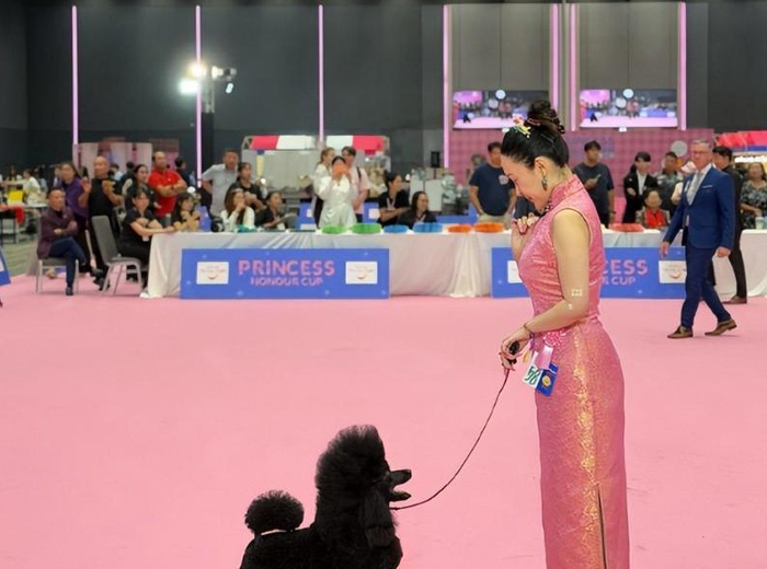 打开网易新闻 查看精彩图片