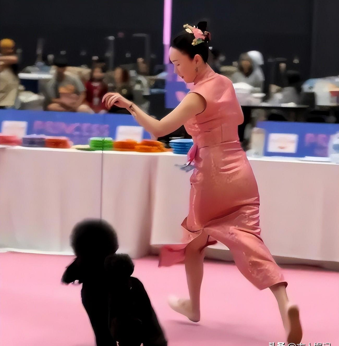 打开网易新闻 查看精彩图片